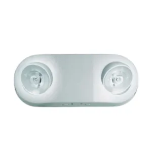 Equipo de emergencia FROG 230 GAMASONIC ambiente/corredor/puntual